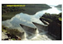 design dams and related infrastructure design